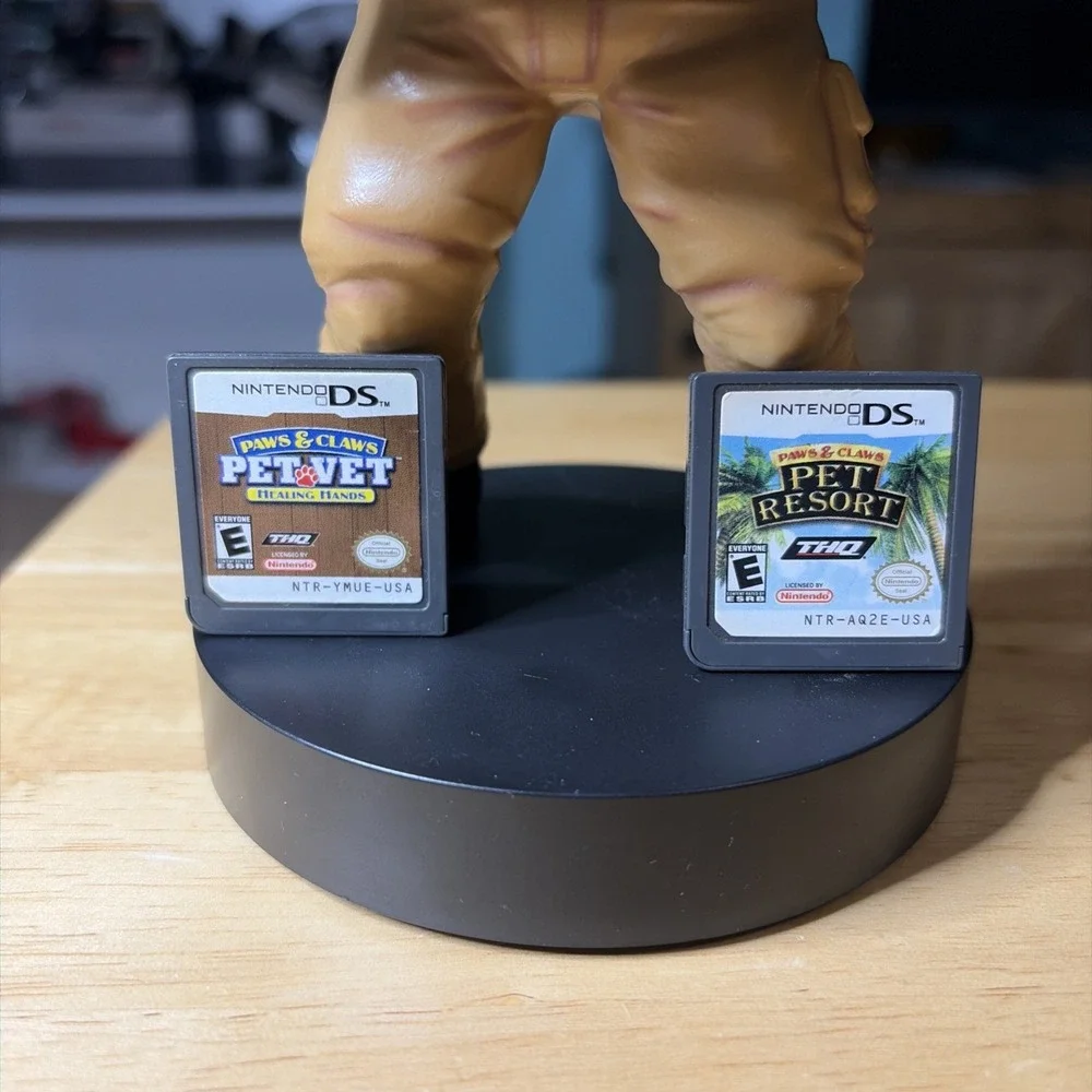 Nintendo ds game